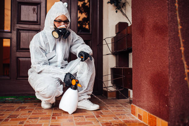 Reliable Bed Bug Control contractor in Fort Ashby, WV by Nex Pest Control