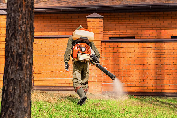 Trusted Rodent Control service in Fort Ashby, WV - Nex Pest Control